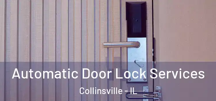Automatic Door Lock Services Collinsville - IL