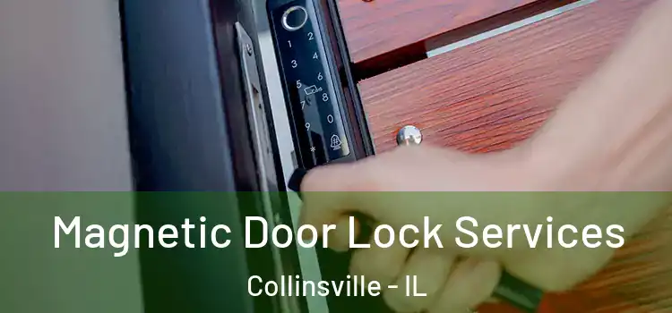 Magnetic Door Lock Services Collinsville - IL