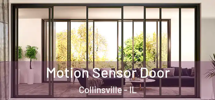 Motion Sensor Door Collinsville - IL